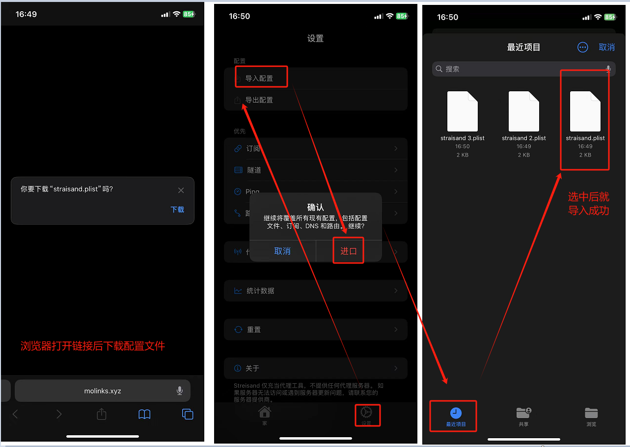Streisand 导入配置